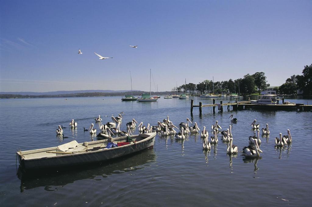 Black Swan Waterfront Motel (Adults Only) Swansea Exterior photo